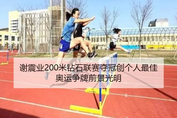 xie-zhen-ye-mi-zuan-shi-lian-sai-duo-guan-chuang-ge-ren-zui-jia-ao-yun-zheng-pai-qian-jing-guang-ming-3-237.jpg